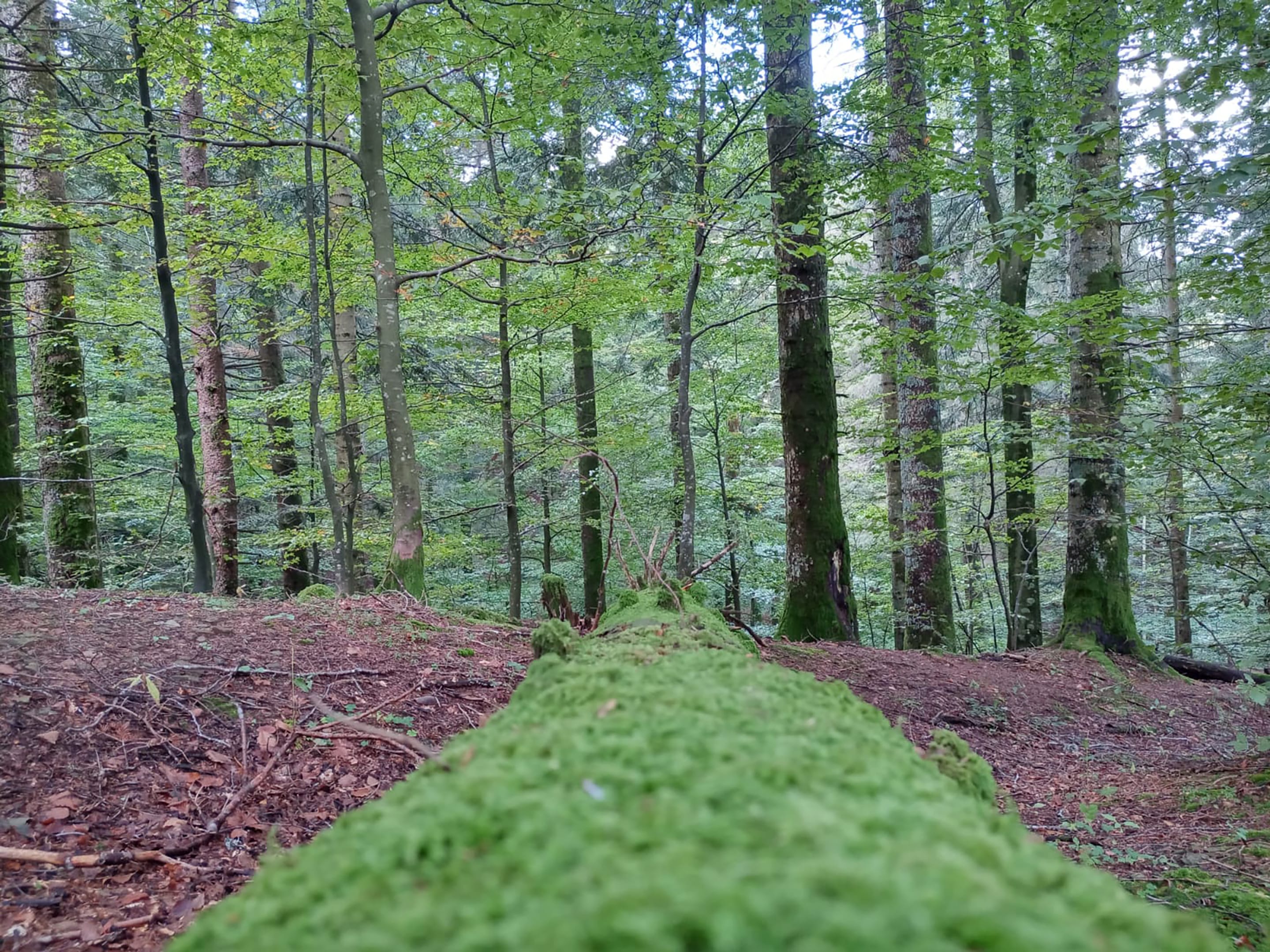 Fitness Tuscany - Rifugio Fangacci