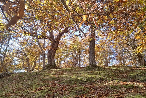 Fitness Tuscany - Rifugio Fangacci