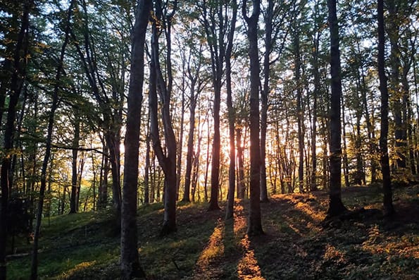 Fitness Tuscany - Rifugio Fangacci