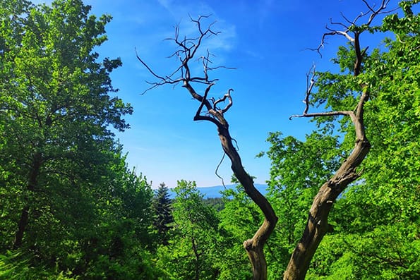 Fitness Tuscany - Rifugio Fangacci