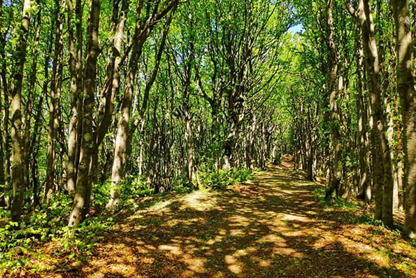 Fitness Tuscany - Rifugio Fangacci