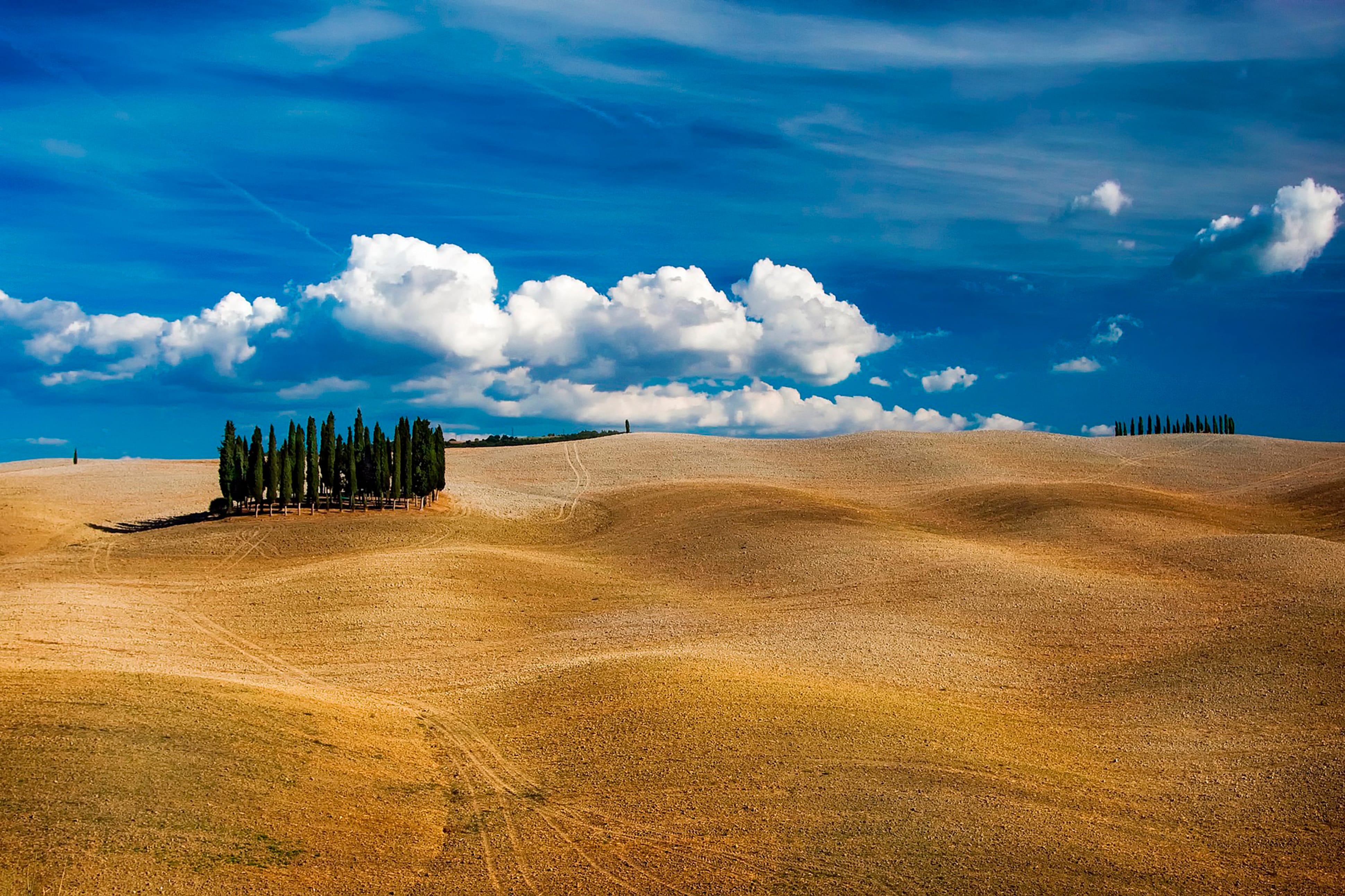 Fitness Tuscany - Adventure Park