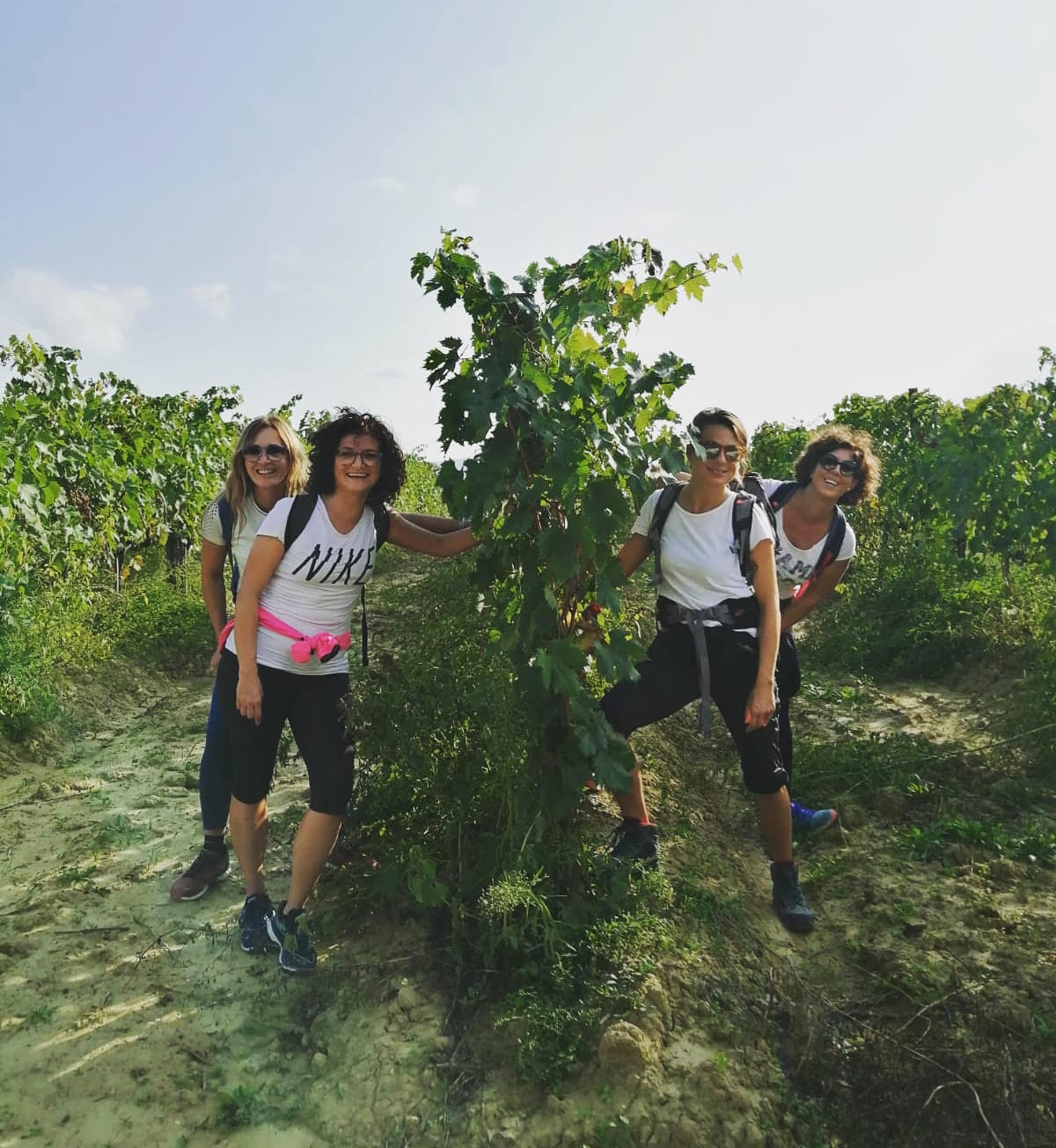 Fitness Tuscany - wine trekking